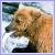 Play Swing and Set - Grizzly