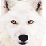 &nbsp;